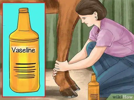 Лечить внешних паразитов лошади Шаг 6