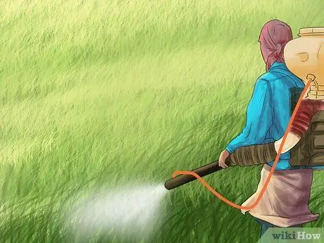 Лечить внешних паразитов лошади Шаг 7