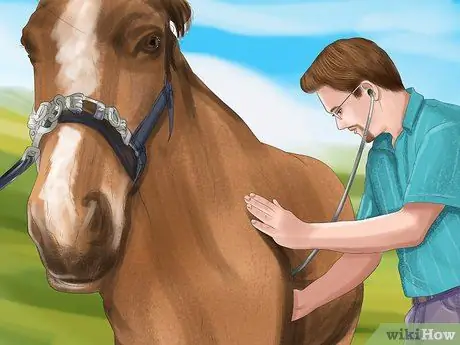 Лечить внешних паразитов лошади Шаг 8