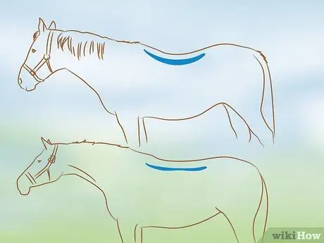 Установите седло Western Шаг 3