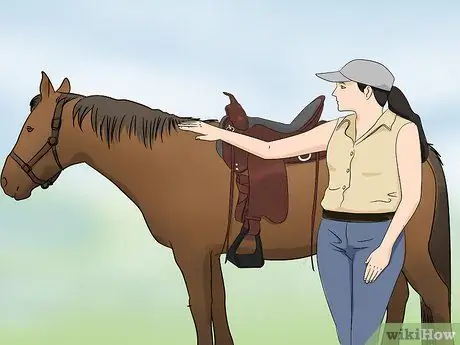 Установите седло Western Шаг 5