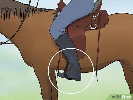 Установите седло Western Step 8