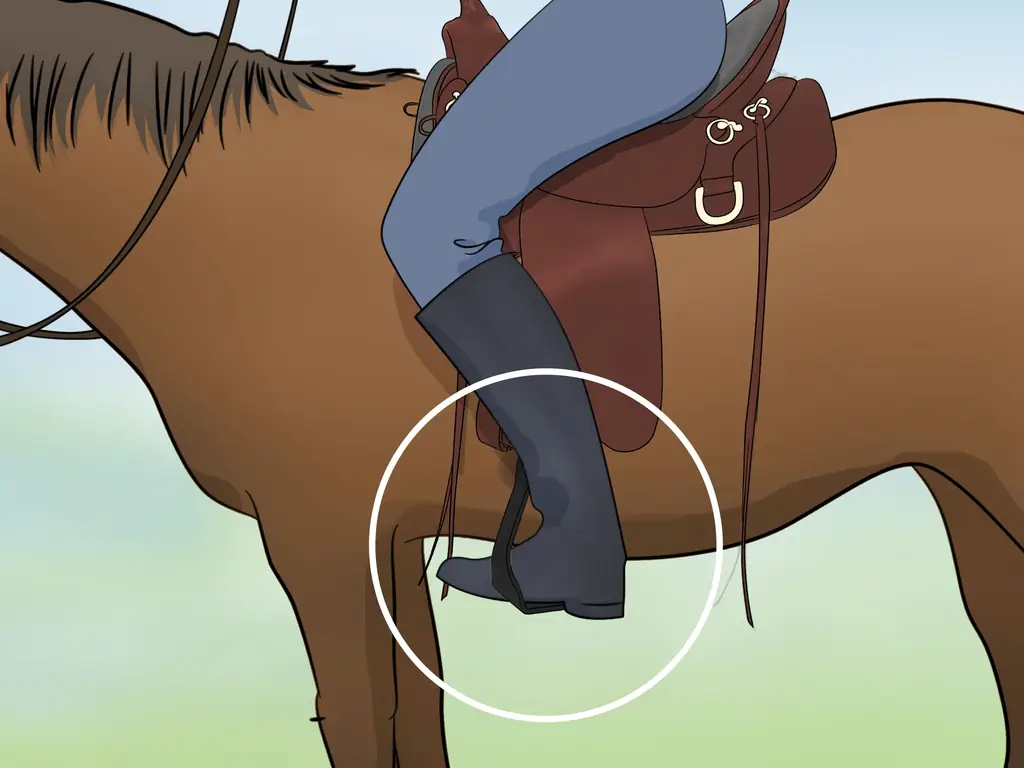 Как установить западное седло: 9 шагов (с иллюстрациями)