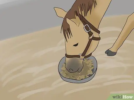 Загрузите напуганную лошадь в прицеп для лошадей Шаг 10