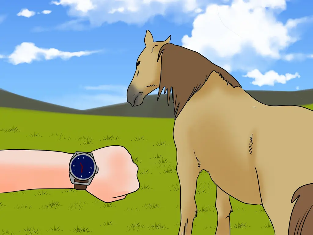 3 способа погрузить напуганную лошадь в прицеп для лошадей