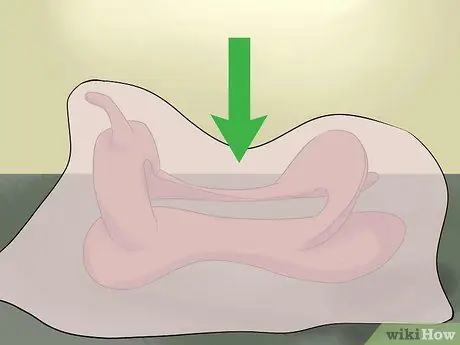 Сырые шкуры седельного дерева, шаг 1