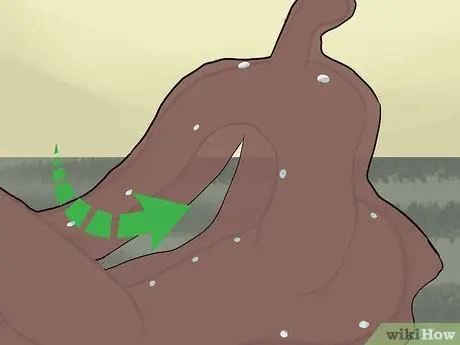 Сырые шкуры седельного дерева, шаг 10