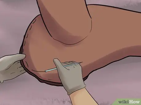 Сырые шкуры седельного дерева Шаг 18