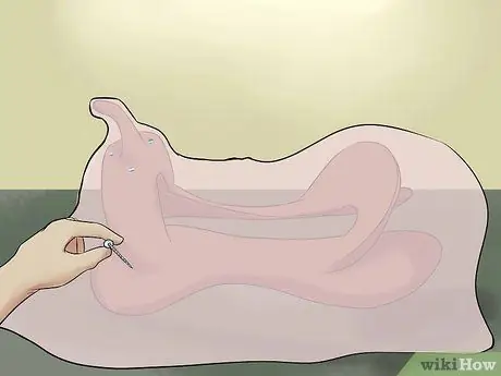 Сырые шкуры седельного дерева, шаг 4