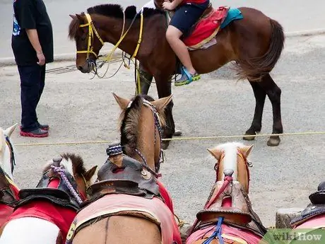 Вести себя с лошадью Шаг 5