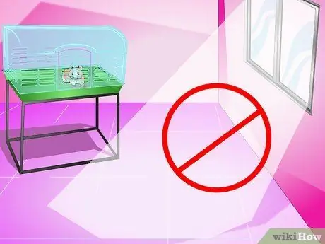 Сделайте своего хомяка дольше живым Шаг 10