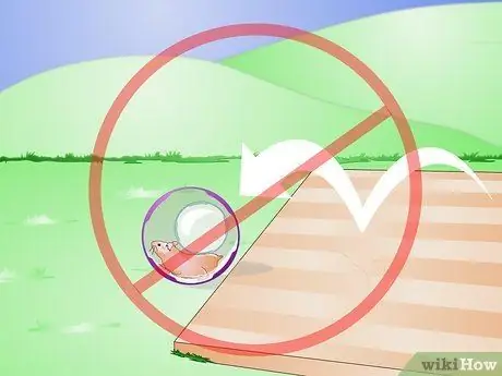 Сделайте своего хомяка дольше, шаг 12