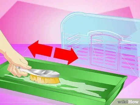 Сделайте своего хомяка дольше, шаг 2