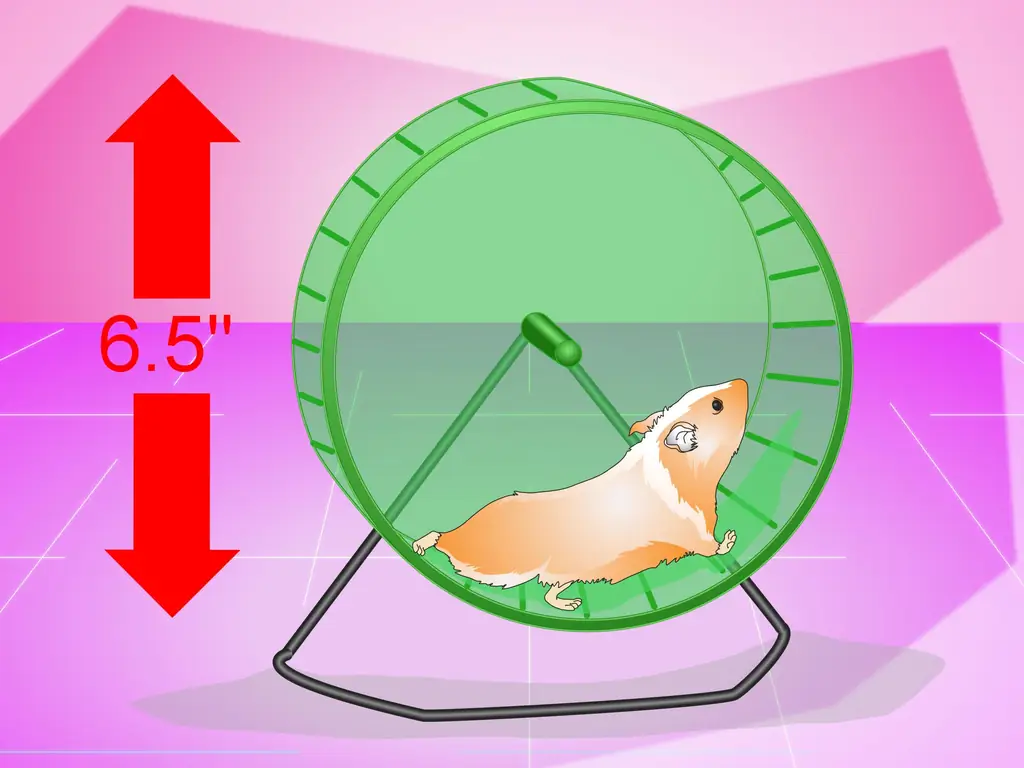 3 способа продлить жизнь хомяку