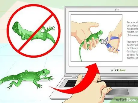 Позаботьтесь о китайском водяном драконе. Шаг 14