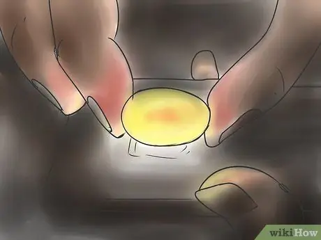 Порода леопардовых гекконов Шаг 10