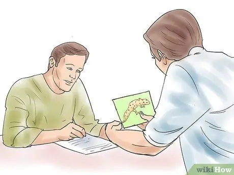 Порода леопардовых гекконов Шаг 4