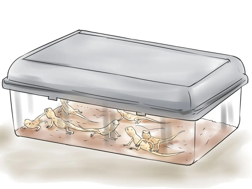 Как разводить леопардовых гекконов: 14 шагов (с иллюстрациями)