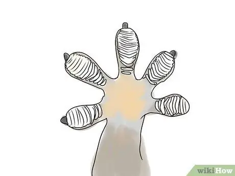 Выберите леопардового геккона Шаг 4