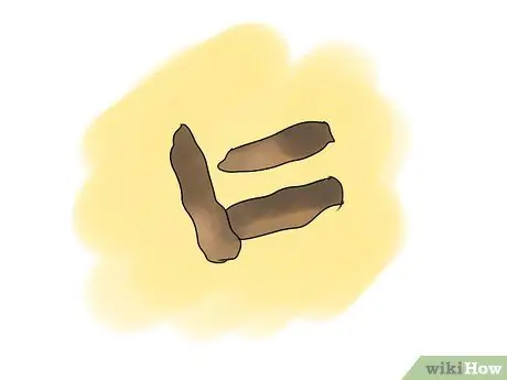 Выберите леопардовый геккон Шаг 7