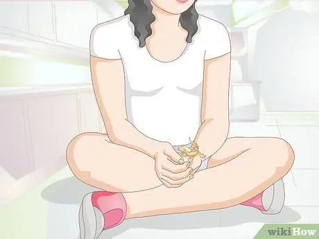 Обработка хохлатого геккона Шаг 13