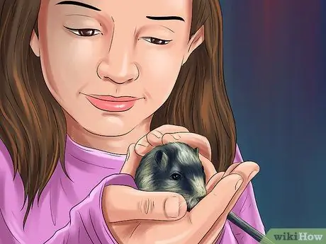 Лечить песчанок, склонных к судорогам Шаг 8