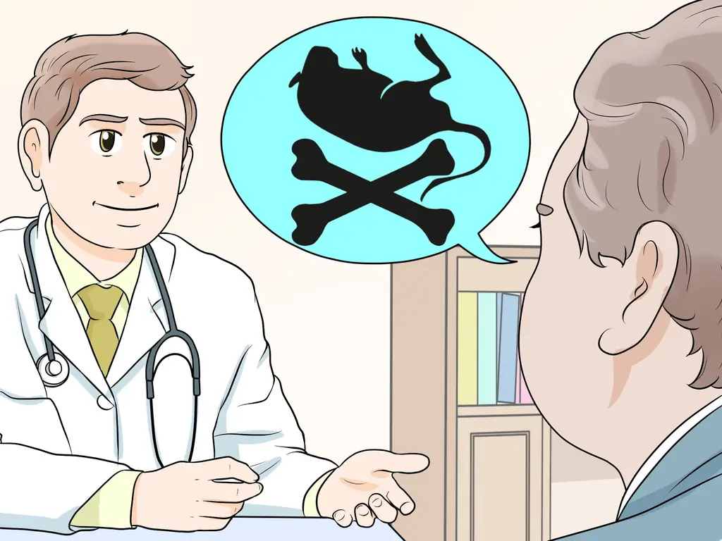 Как обнаружить и лечить кисту яичника у песчанок: 10 шагов