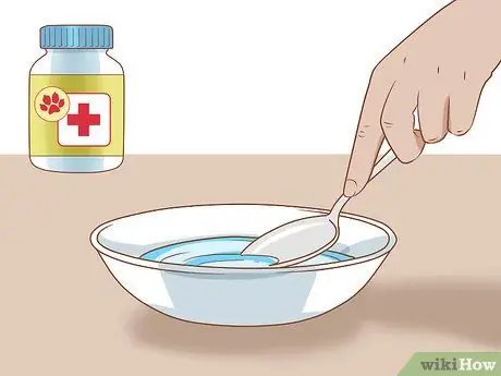 Заставьте свою морскую свинку съесть угощение из ваших рук Шаг 11