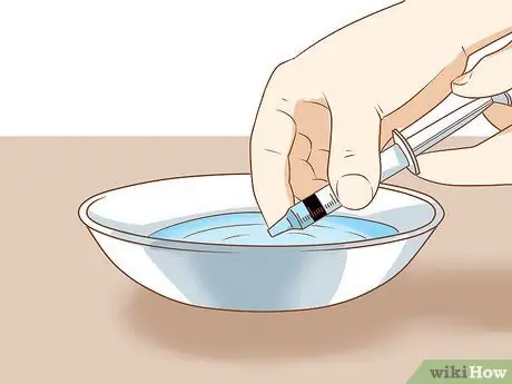 Заставьте свою морскую свинку съесть угощение из ваших рук Шаг 12