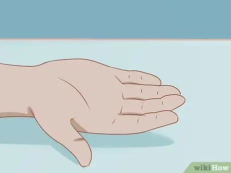 Заставьте свою морскую свинку съесть угощение из ваших рук Шаг 7