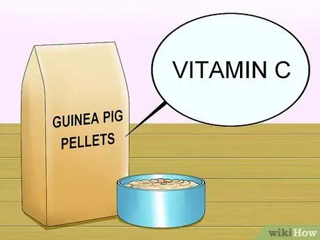 Кормите морских свинок витамином С, шаг 2