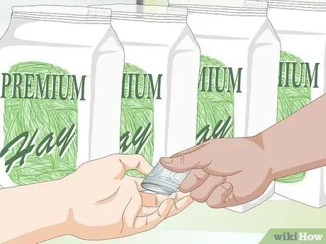 Кормите морскую свинку сбалансированным питанием Шаг 4