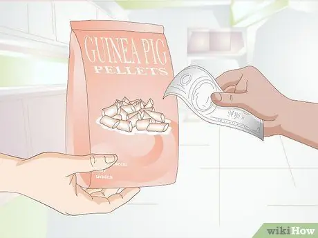 Кормите морскую свинку сбалансированным питанием Шаг 3