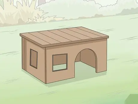 Сделать пробежку по морской свинке Шаг 13