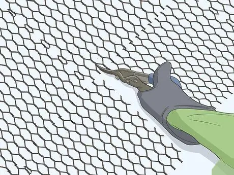 Сделайте пробежку по морской свинке, шаг 7