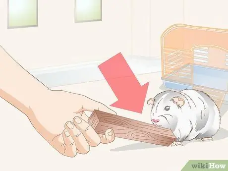 Выберите игрушки для морской свинки Шаг 1