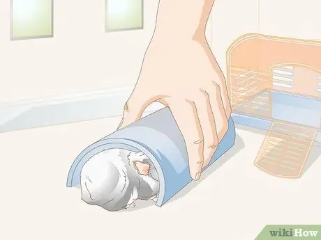 Выберите игрушки для морской свинки Шаг 2