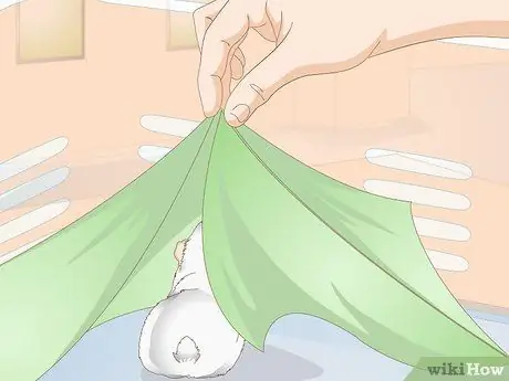 Выберите игрушки для морской свинки Шаг 9