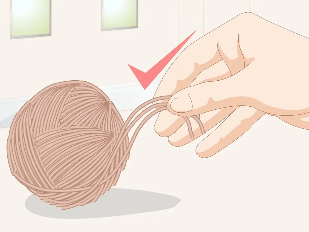 3 способа выбрать игрушки для морской свинки