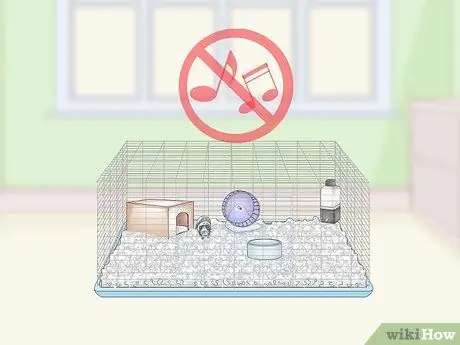 Дом морской свинки Шаг 10