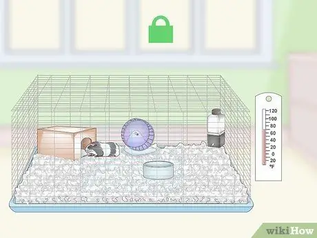 Дом морской свинки Шаг 11