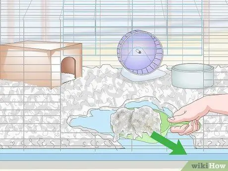 Дом морской свинки Шаг 14