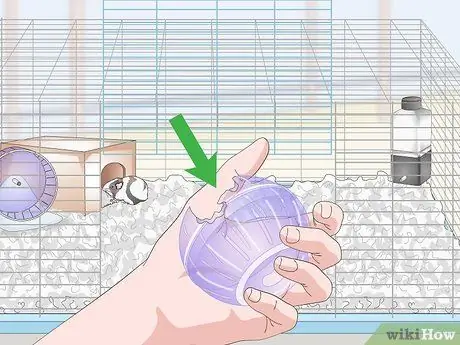 Дом морской свинки Шаг 17