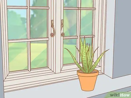 Морская свинка - залог вашего дома Шаг 3