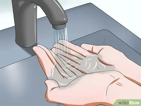 Заставьте свою морскую свинку перестать кусать вас Шаг 2