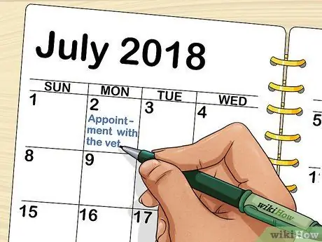 Диагностика и лечение опухолей у морских свинок Шаг 5