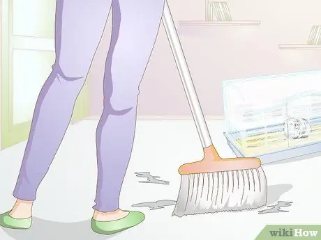 Лечить конъюнктивит у морских свинок Шаг 6