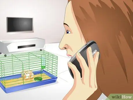 Позаботьтесь о перегретой морской свинке Шаг 2