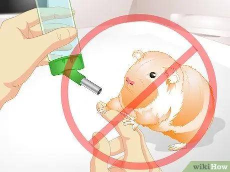 Позаботьтесь о перегретой морской свинке Шаг 5