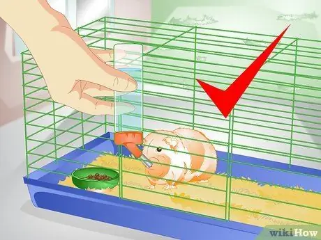 Позаботьтесь о перегретой морской свинке Шаг 7